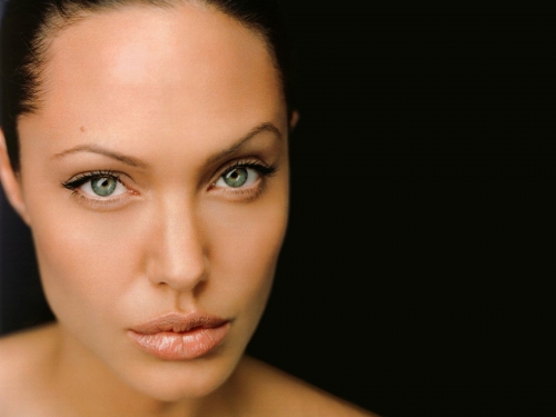 angelina-jolie-85.jpg