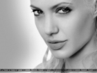 angelina-jolie-3.jpg