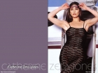 catherine-zeta-jones-2.jpg